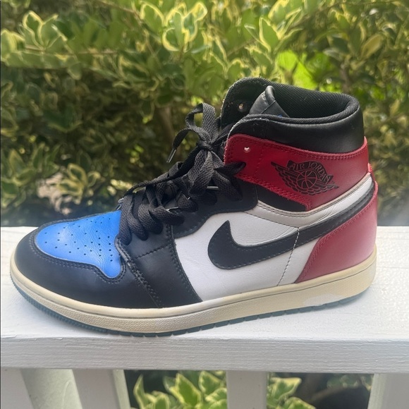 Nike Air Jordan 1 Retro high tops main image 14